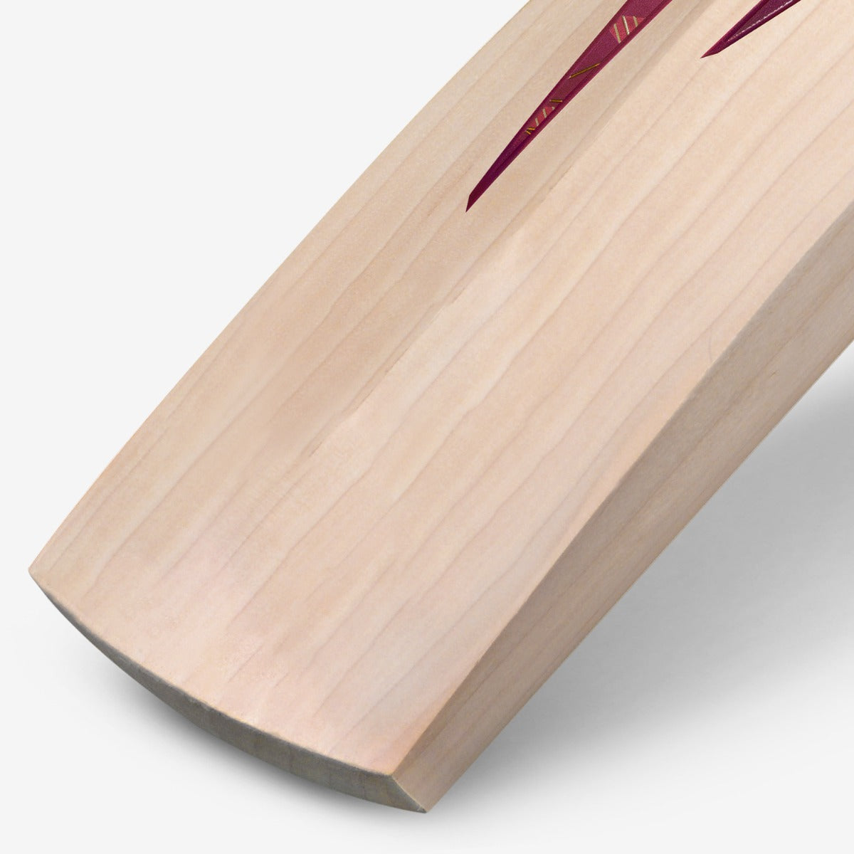 DSC Condor Patrol English Willow Cricket Bat