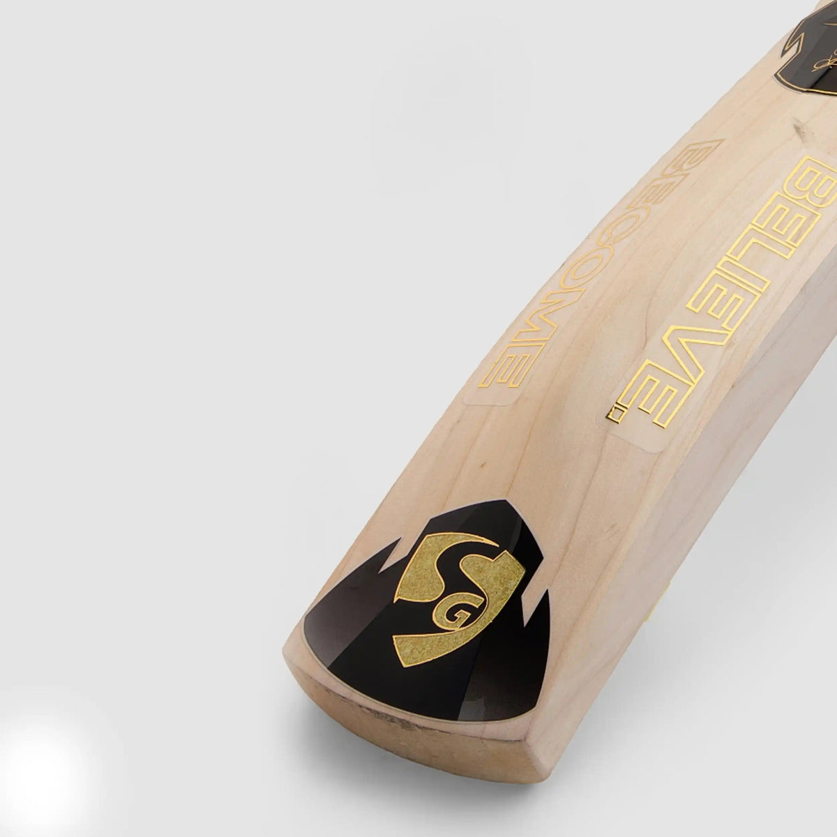 SG HP T-20 English Willow Cricket Bat