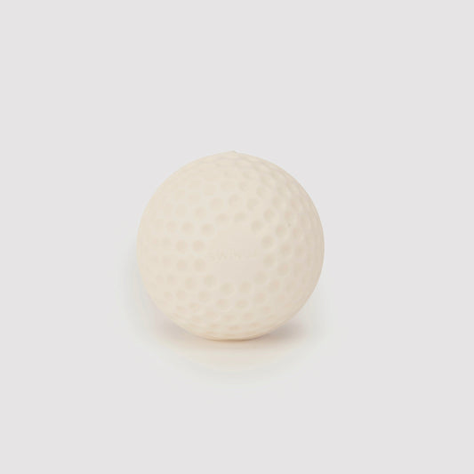 SG Swinga White Cricket Ball