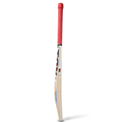 TON Maximus Kashmir Willow Cricket Bat