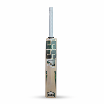 SS Tim David Kashmir Willow Cricket Bat