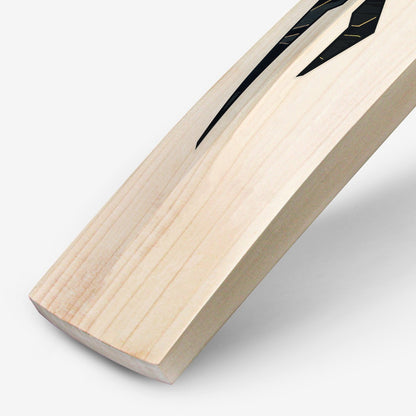 DSC BLAK Pro English Willow Cricket Bat