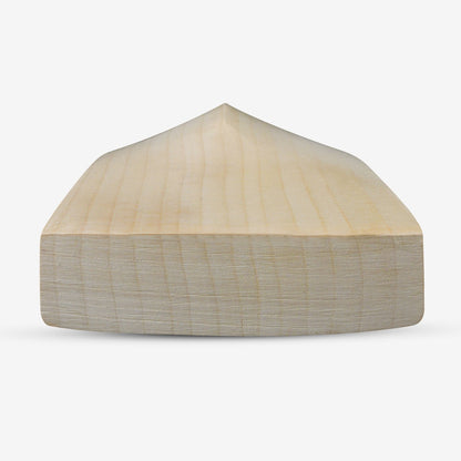DSC Rachin Ravindra Cricket Bat