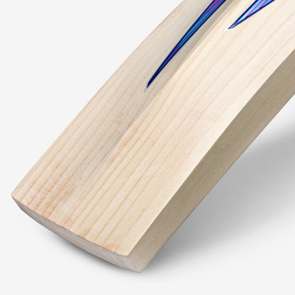 DSC BLU 222 English Willow Cricket Bat