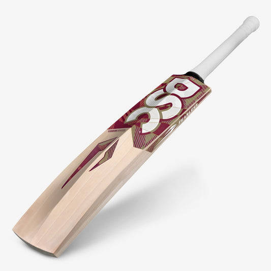 DSC Condor Winger English Willow Cricket Bat