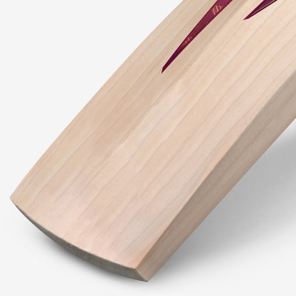 DSC Condor Players Edition Cricket Bat