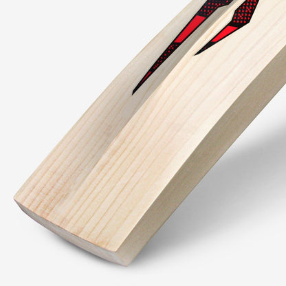 DSC Intense Attitude English Willow Cricket Bat