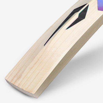 DSC Cynos 1010 English Willow Cricket Bat
