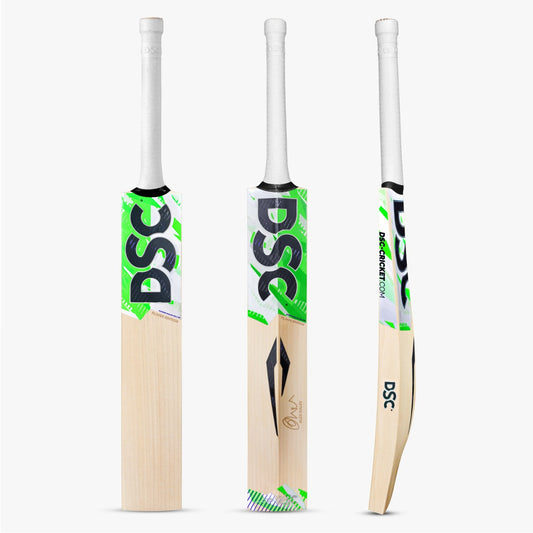 DSC Alex Hales Cricket Bat