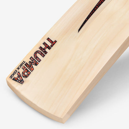 DSC Thumpa 2000 English Willow Cricket Bat